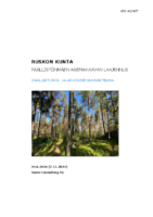 Selostus_Liite_2_OAS_7.11.2024