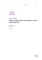 Selostus_Liite_7_Hulevesiselvitys